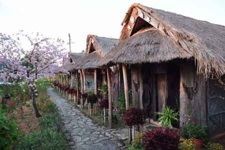 Tuophema Village