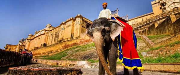 Amber Fort, Jaipur