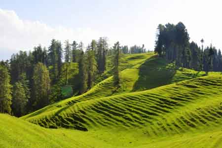 Bhaderwah