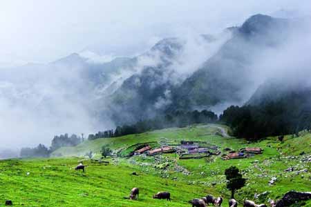 Chopta Valley