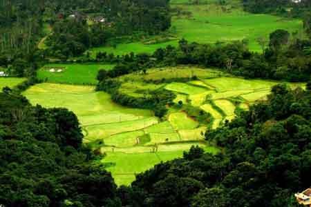 Coorg