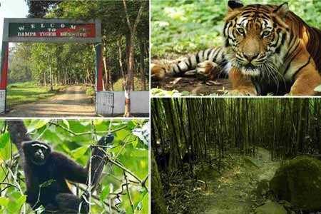 Dampa Tiger Reserve