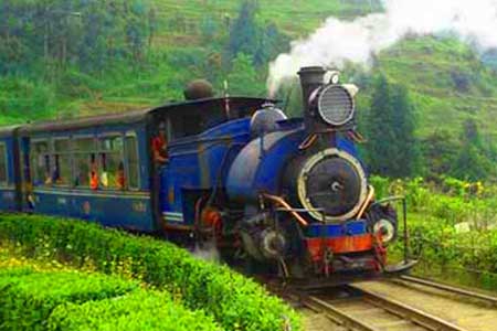 Darjeeling Gangtok Honeymoon Tour