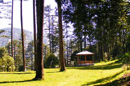 Dhanaulti