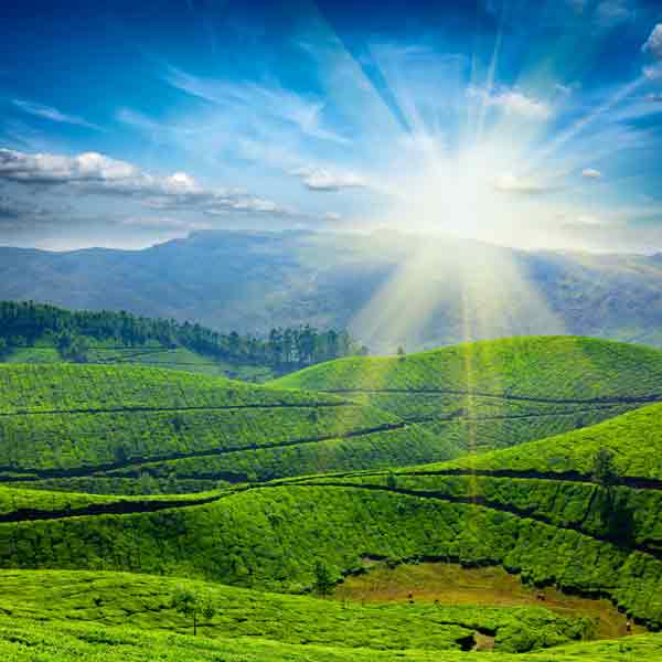 13 Days Kerala Hill Station Tour