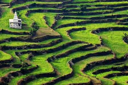 Ranikhet Hill Station Tour