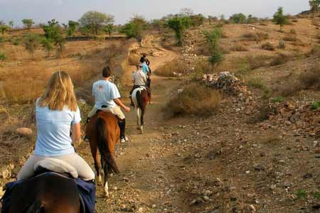 Shekhawati Horseback Riding