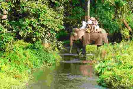 Jaldapara National Park