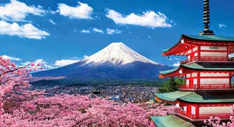 India Tour Package from Japan