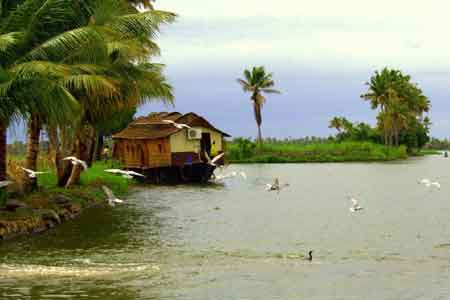      Kasargod Backwaters