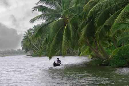 Kavvayi Backwaters