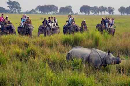 Kaziranga National Park