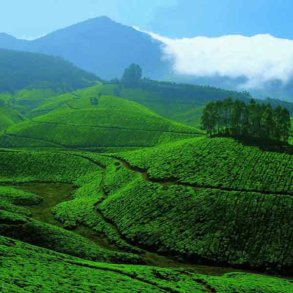 India 3 Days Tour