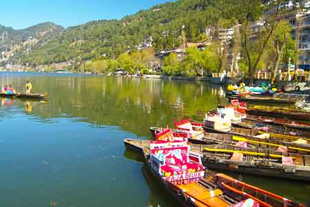 India Tour 8 Days