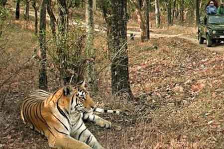 Pench National Park