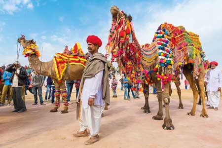 Pushkar Fair Package