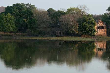 Raj Bagh Ruins