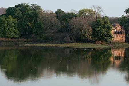 Raj Bagh Ruins