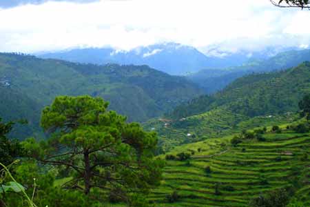 Ranikhet