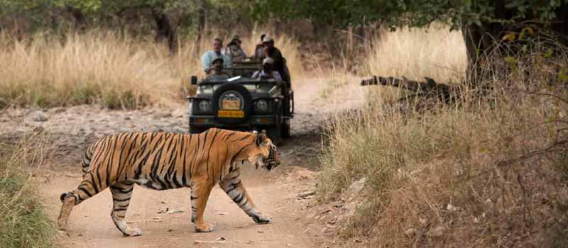The India Tourism