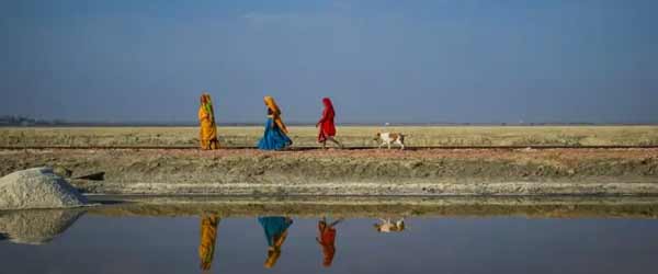 Sambhar Salt Lake