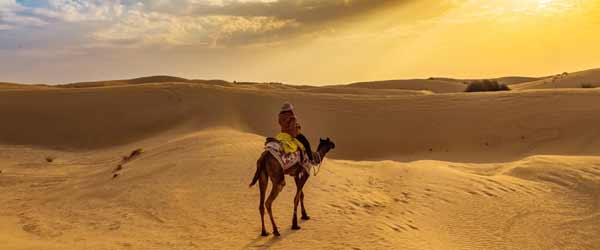 Sand Dunes in Rajsthan