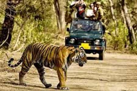 Sariska National Park