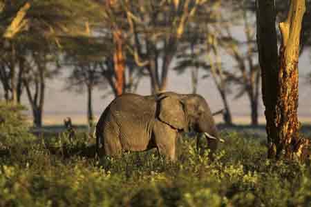 Sepahijala Wildlife Sanctuary