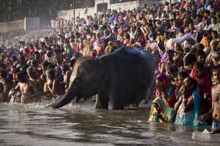 Sonepur Fair