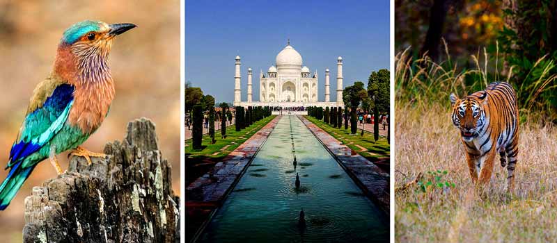 The India Tourism