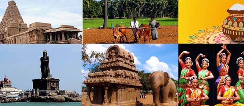 The India Tourism