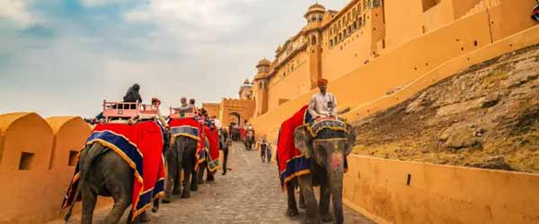Top Things to do in Rajasthan