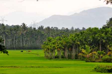 Wayanad