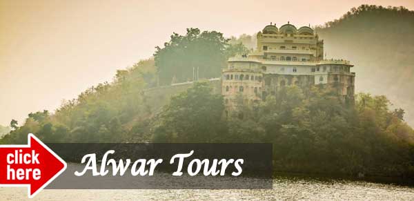 Alwar tour packages