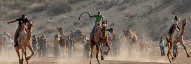 Bikaner Camel Festival