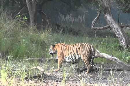 Dudhwa National Park