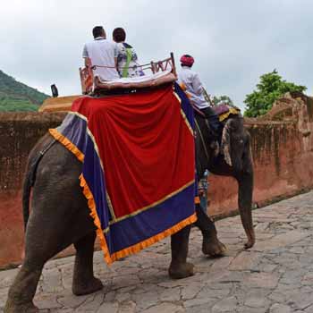 voyage inde en février