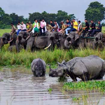 Reise Nach Indien März