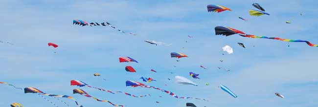 International Kite Festival Rajasthan