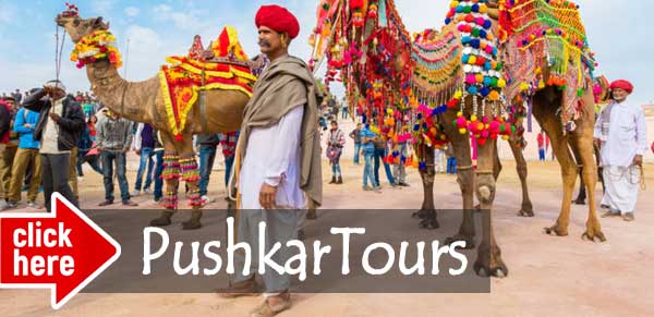 pushkar tour packages
