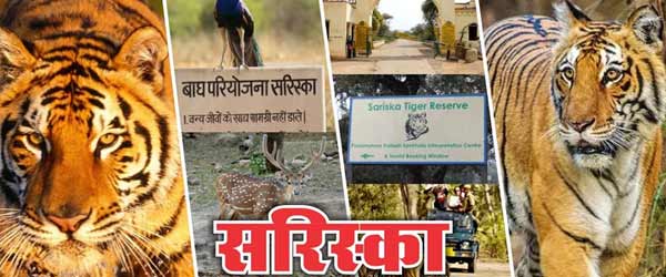 Sariska tourist attractions